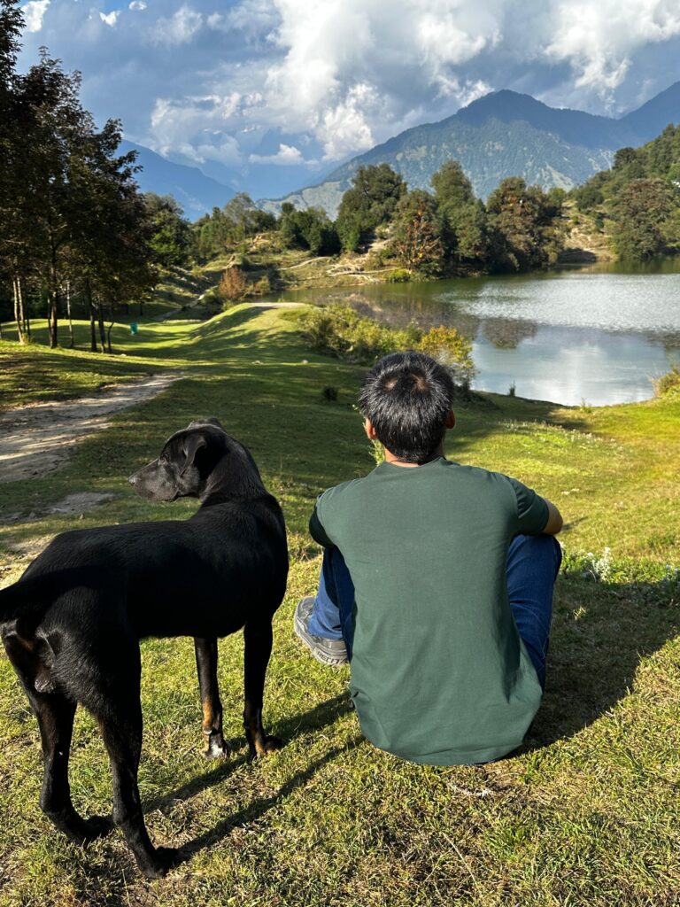 chopta auli tour package